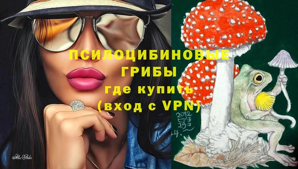 дмт Алексеевка