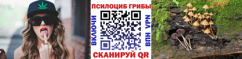 omg Омск Галлюциногенные грибы Magic Shrooms